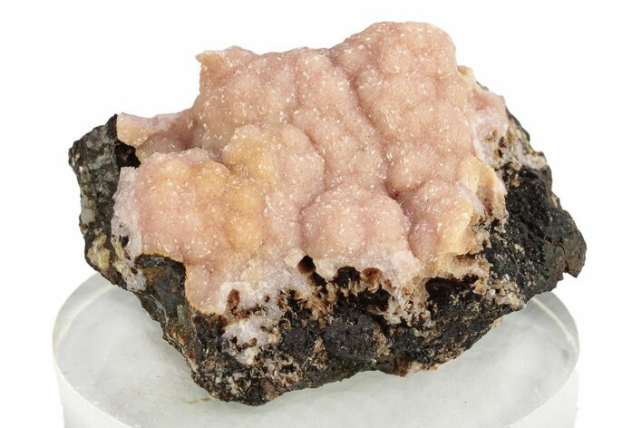 Lustrous Botryoidal Rhodochrosite - Santa Eulalia, Mexico #253359